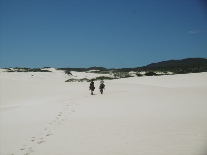 Beach trail at Walker Bay