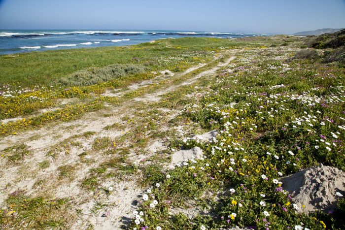 Beach trail at Walker Bay