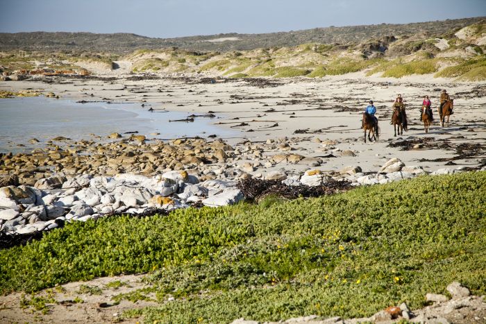 Beach trail at Walker Bay