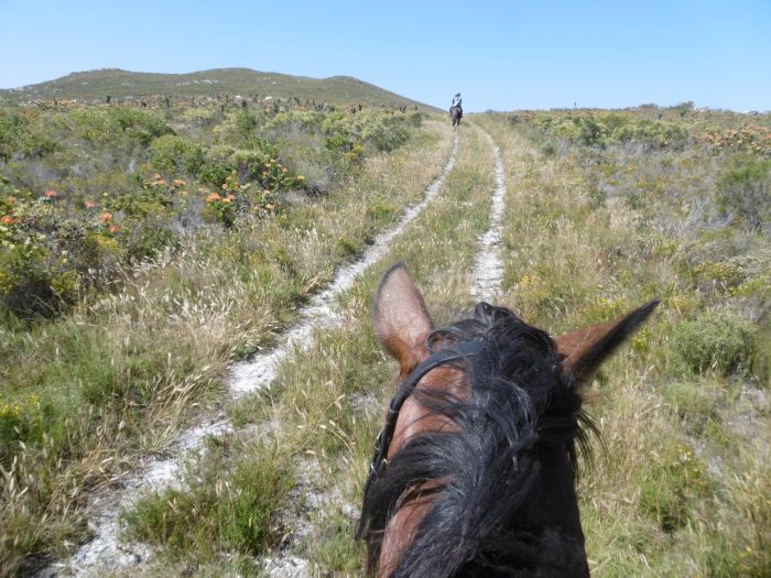 Beach trail at Walker Bay