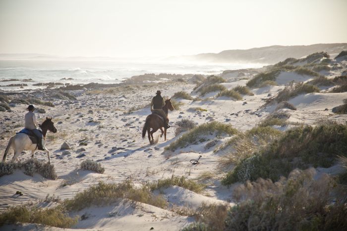 Beach trail at Walker Bay