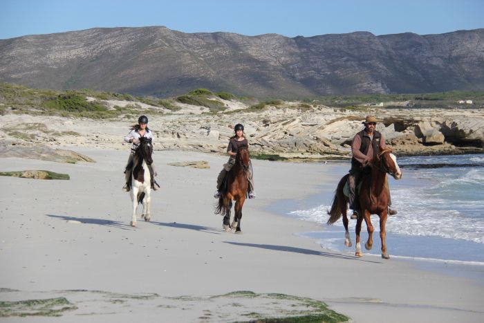Beach trail at Walker Bay