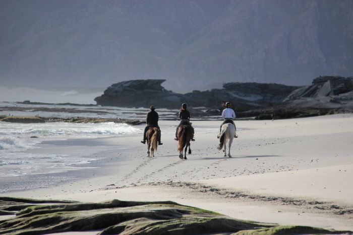 Beach trail at Walker Bay