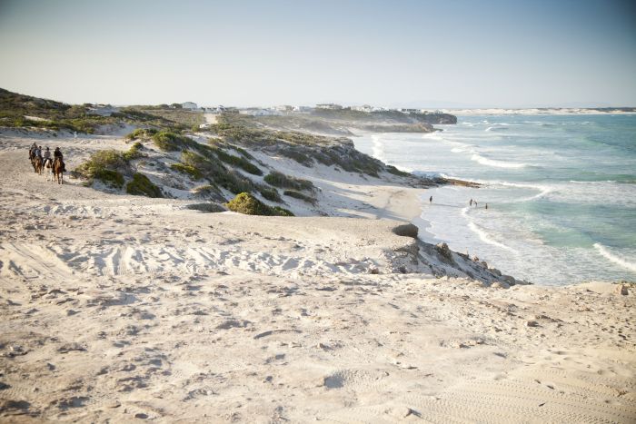 Beach trail at Walker Bay