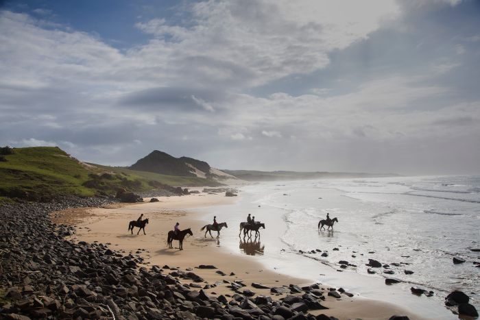 Riding Vacation on the Wild Coast