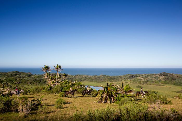 Riding Vacation on the Wild Coast