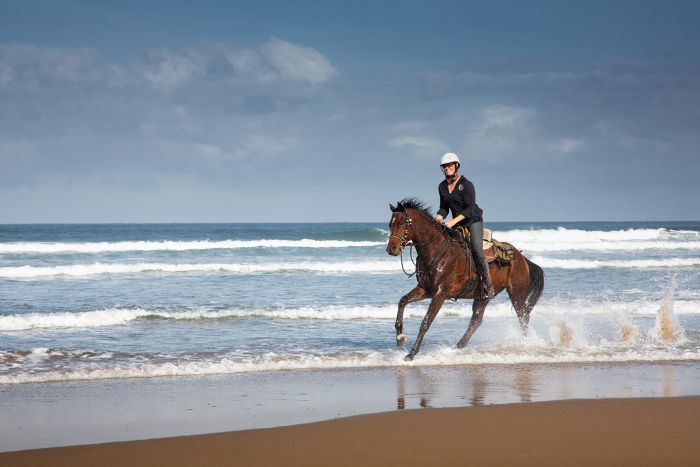 Riding Vacation on the Wild Coast