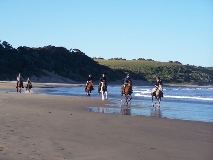Riding Vacation on the Wild Coast