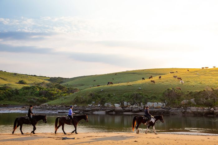 Riding Vacation on the Wild Coast