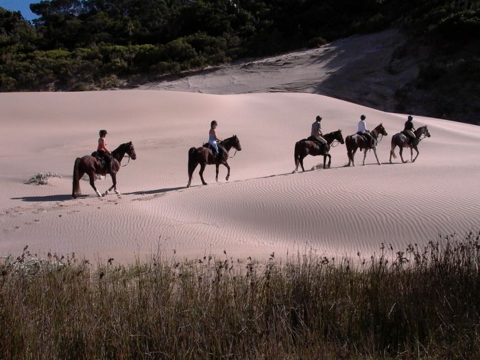 Riding Vacation on the Wild Coast