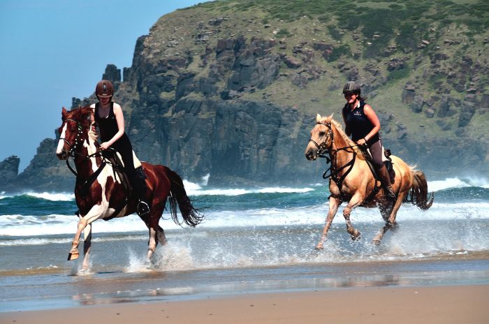 Riding Vacation on the Wild Coast
