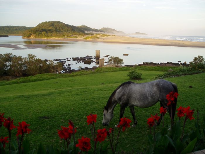 Riding Vacation on the Wild Coast