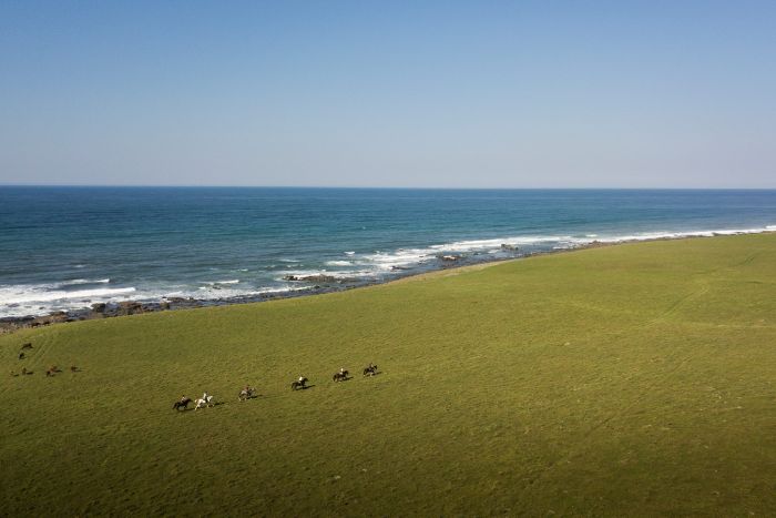 Wild Coast Trail