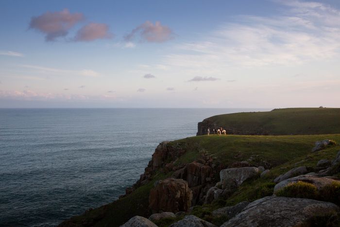 Wild Coast Trail