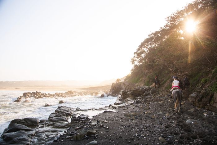Wild Coast Trail