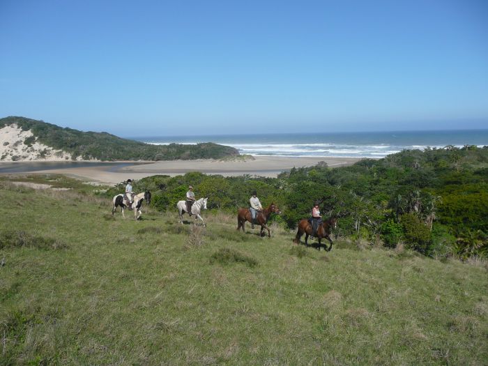 Wild Coast Trail