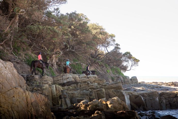 Wild Coast Trail