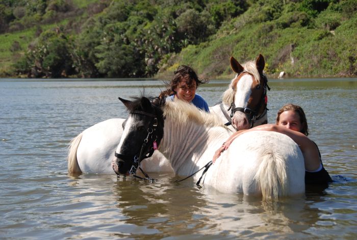 Wild Coast Working Holidays in South Africa