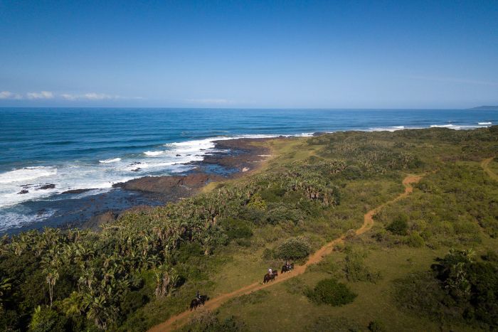 Wild Coast Working Holidays in South Africa