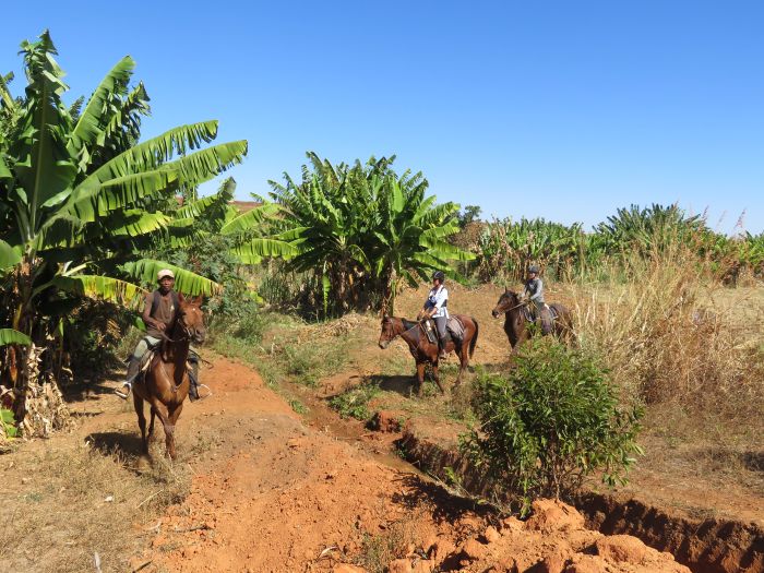 Madagascar - discover the sixth continent on horseback