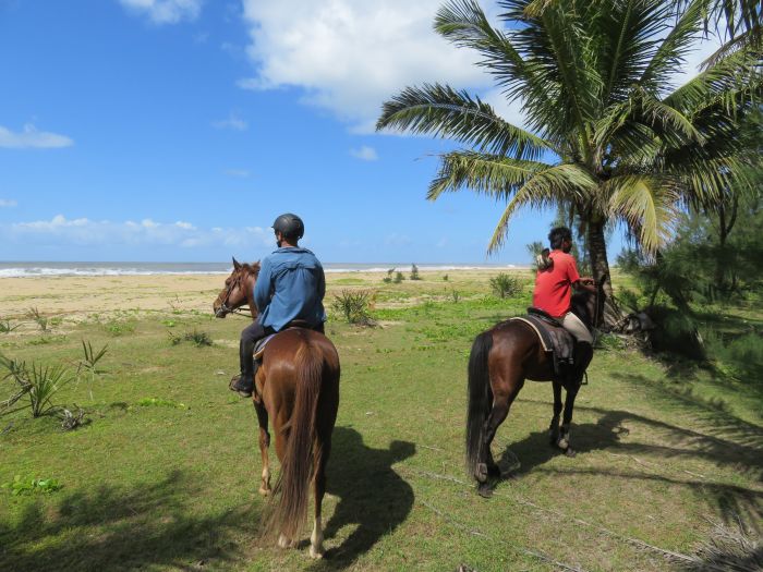 Madagascar - discover the sixth continent on horseback