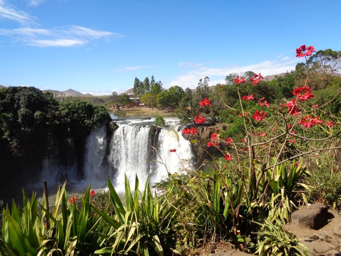 Madagascar - discover the sixth continent on horseback