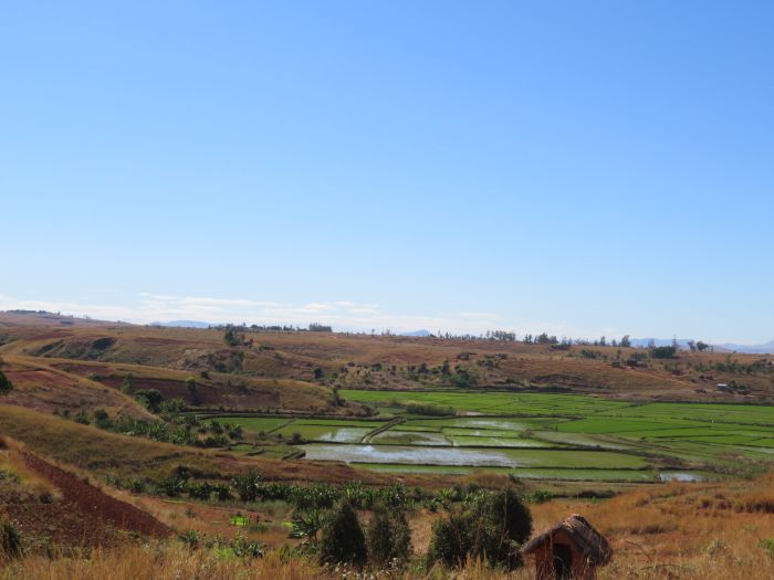 Madagascar - discover the sixth continent on horseback