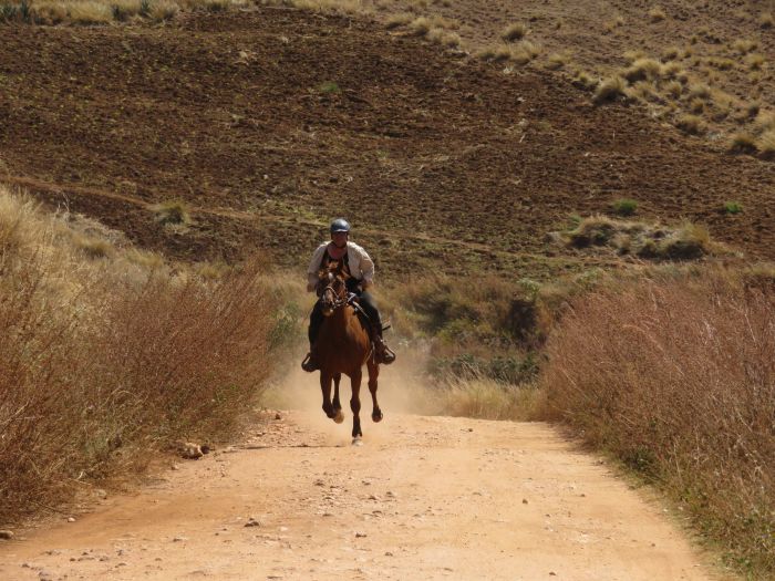 Madagascar - discover the sixth continent on horseback