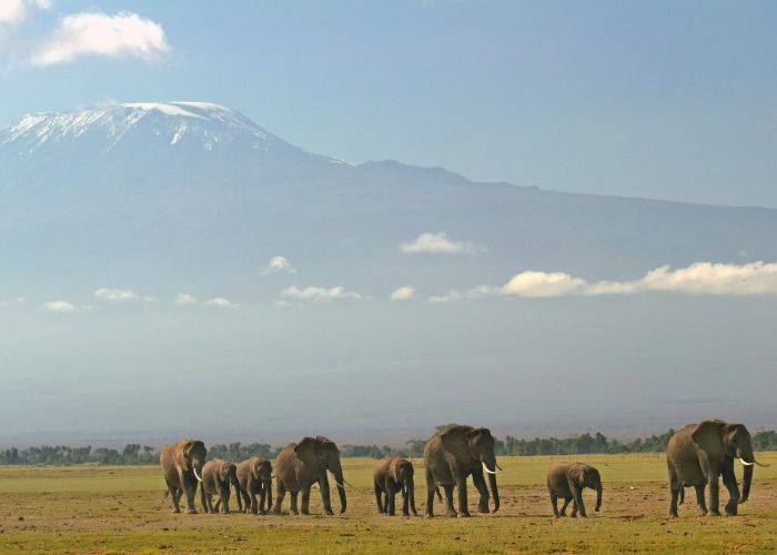 Kenya Safari Lodge - Adventure in the saddle