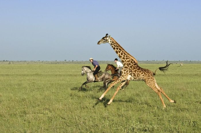 Kenya Safari Lodge - Adventure in the saddle