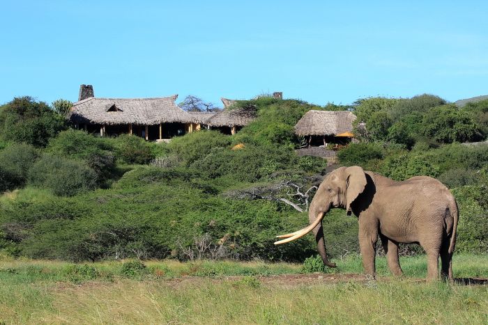 Kenya Safari Lodge - Adventure in the saddle