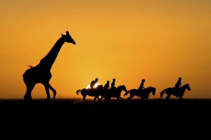 Kenya Safari Lodge - Adventure in the saddle