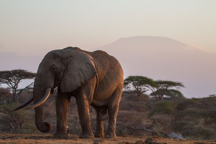 Kenya Safari Lodge - Adventure in the saddle