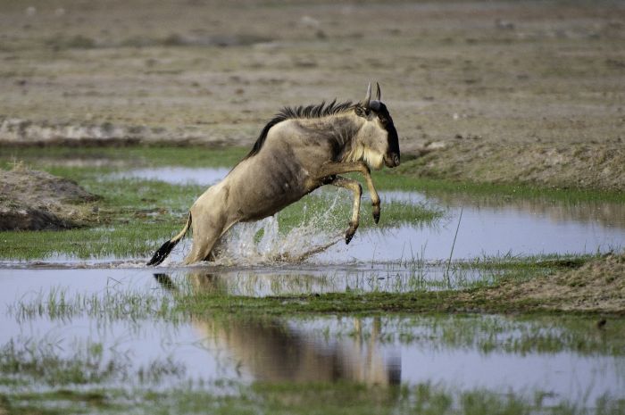 Kenya Safari Lodge - Adventure in the saddle