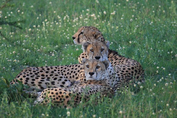 Kenya Safari Lodge - Adventure in the saddle