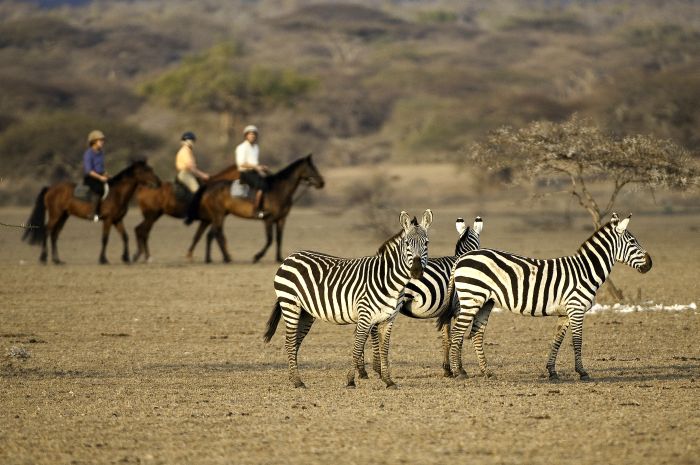 Kenya Safari Lodge - Adventure in the saddle