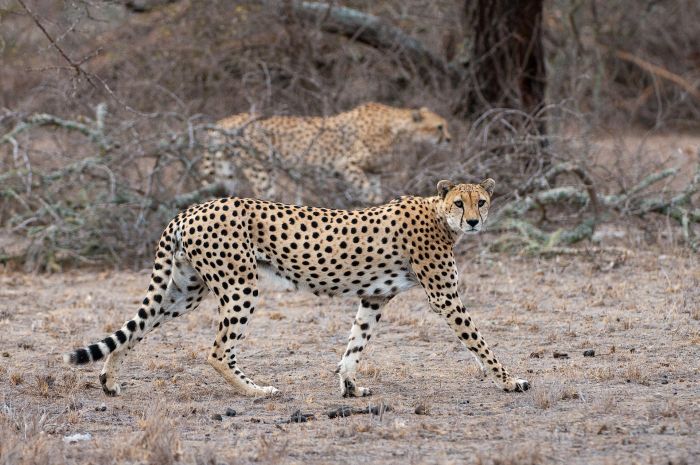 Kenya Safari Lodge - Adventure in the saddle
