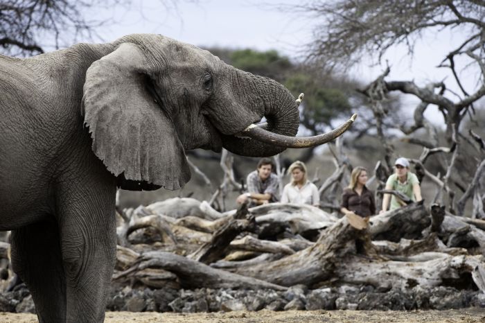 Kenya Safari Lodge - Adventure in the saddle