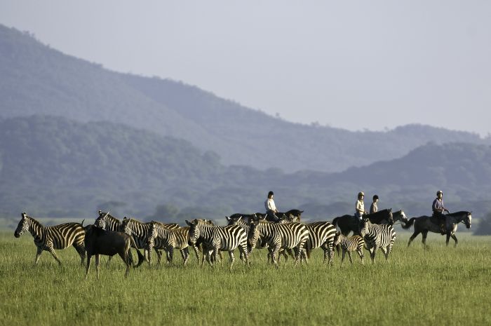 Kenya Safari Lodge - Adventure in the saddle