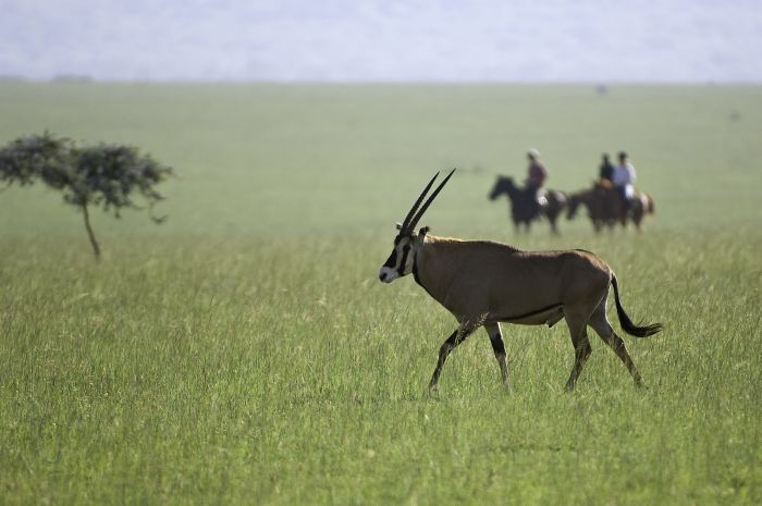 Kenya Safari Lodge - Adventure in the saddle