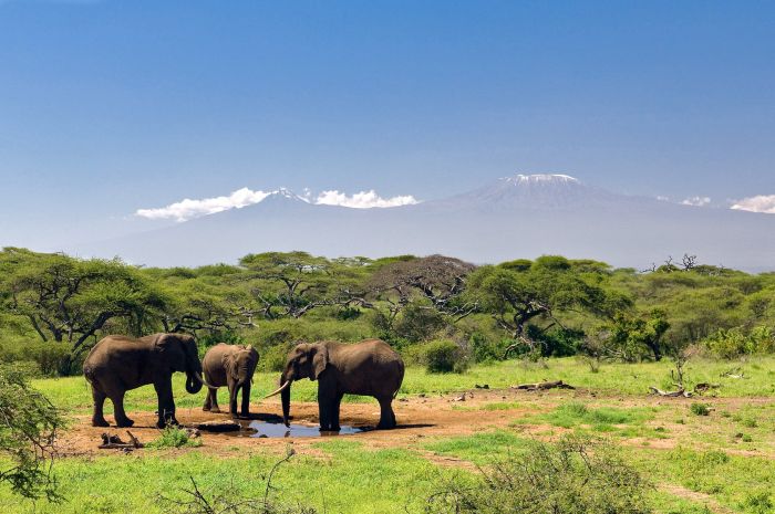 Kenya Safari Lodge - Adventure in the saddle