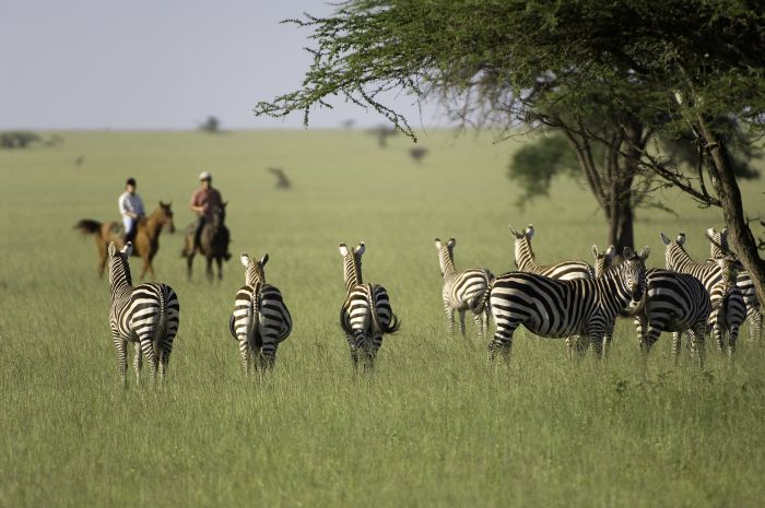 Kenya Safari Lodge - Adventure in the saddle