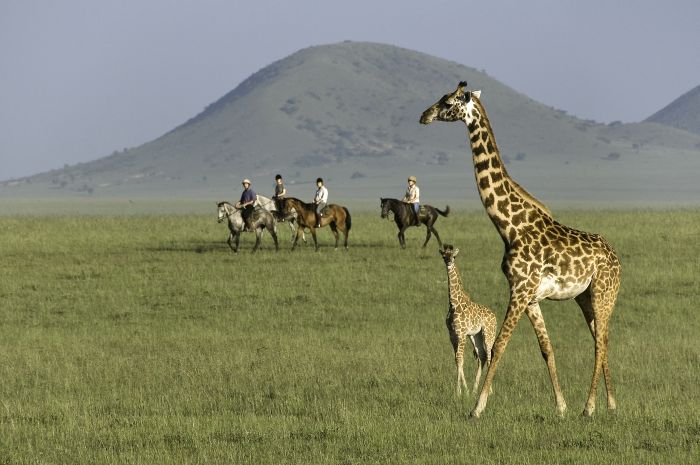 Kenya Safari Lodge - Adventure in the saddle