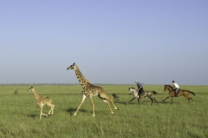 Kenya Safari Lodge - Adventure in the saddle