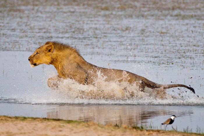 Kenya Safari Lodge - Adventure in the saddle
