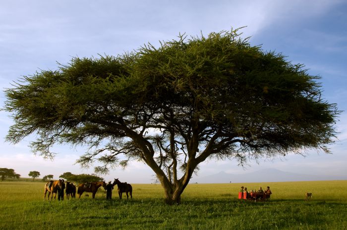 Kenya Safari Lodge - Adventure in the saddle