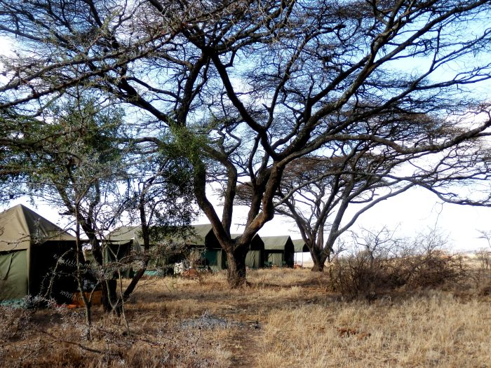 Meru-Kilimanjaro Big Game Safari Accomodation