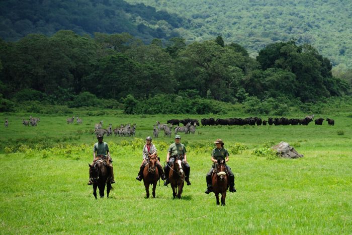 Meru-Kilimanjaro Big Game Safari