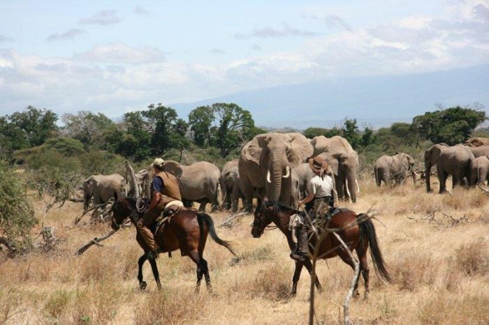 Meru-Kilimanjaro Big Game Safari