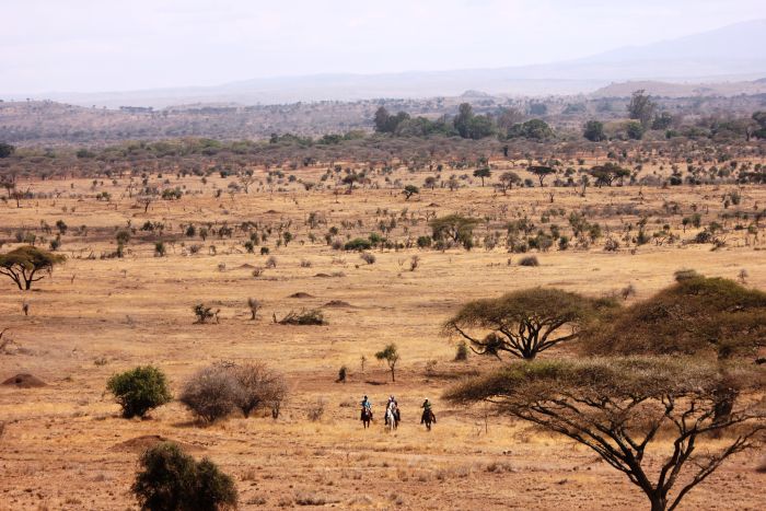 Meru-Kilimanjaro Big Game Safari
